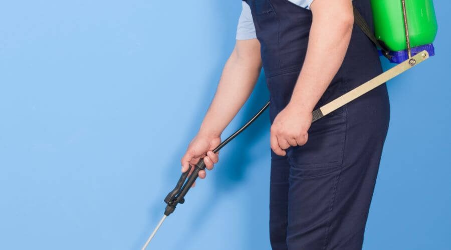 Why choose Flea Control Springfield MO for flea control springfield mo in Springfield